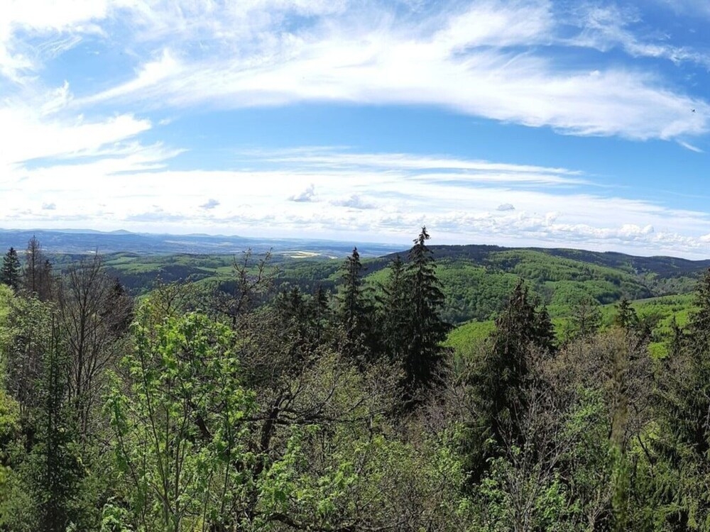 숙박 시설의 전망