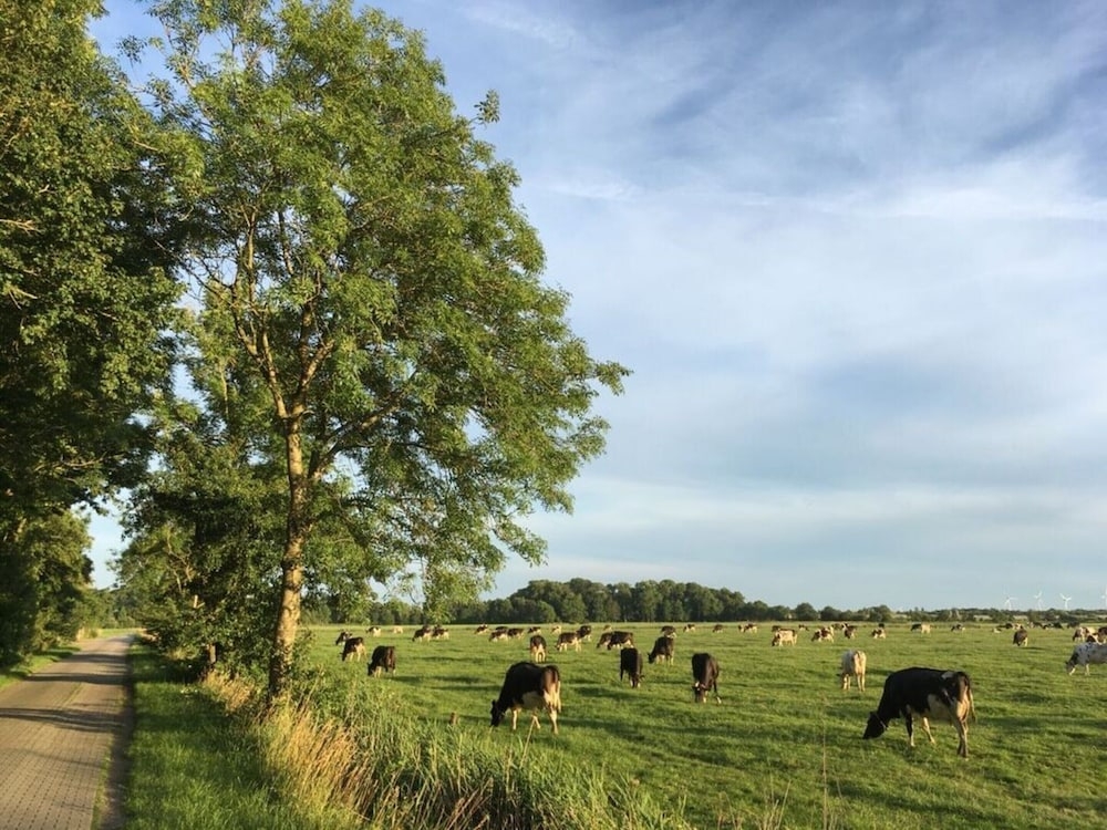 숙박 시설 구내