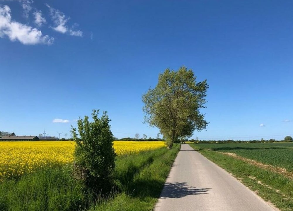 숙박 시설 구내