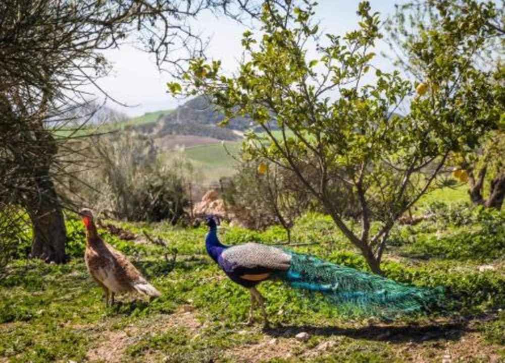 숙박 시설의 전망