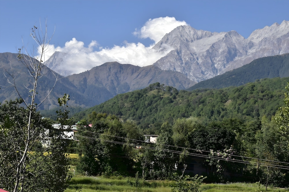 숙박 시설의 전망