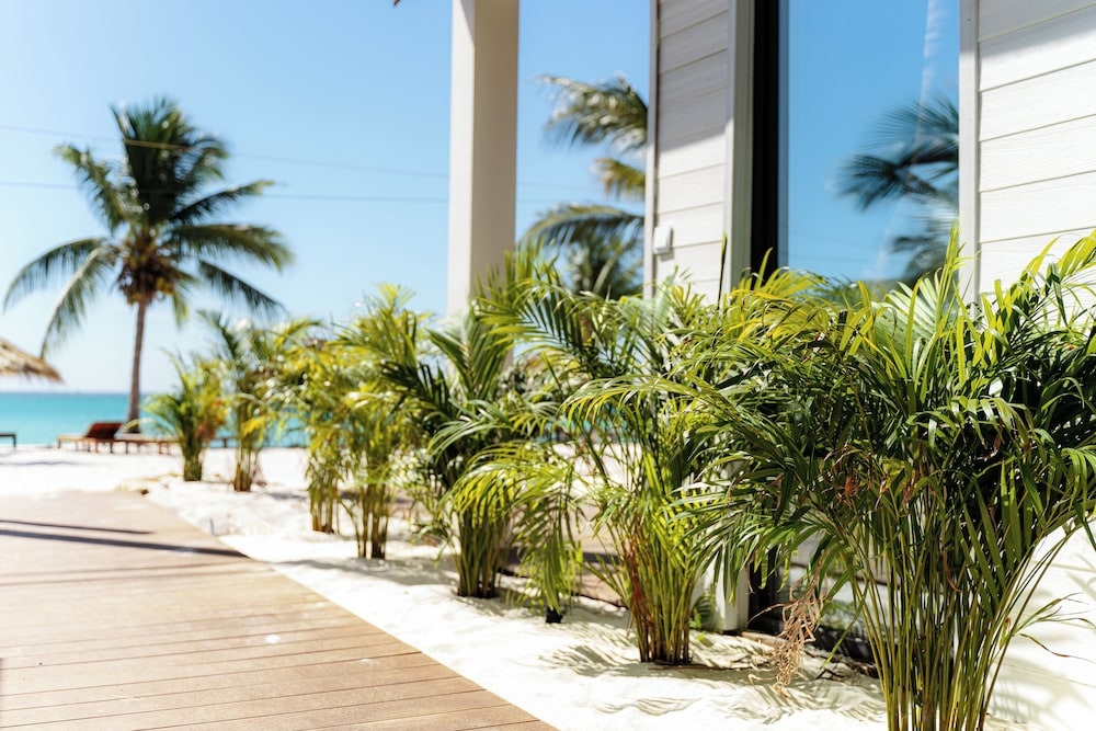 해변/바다 전망