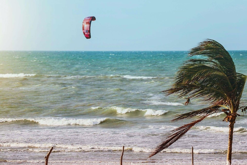 서핑/부기 보드