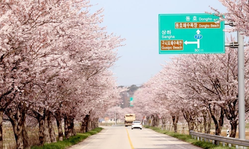 숙박 시설에서 보는 주변 전망