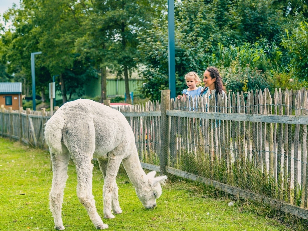 숙박 시설 구내
