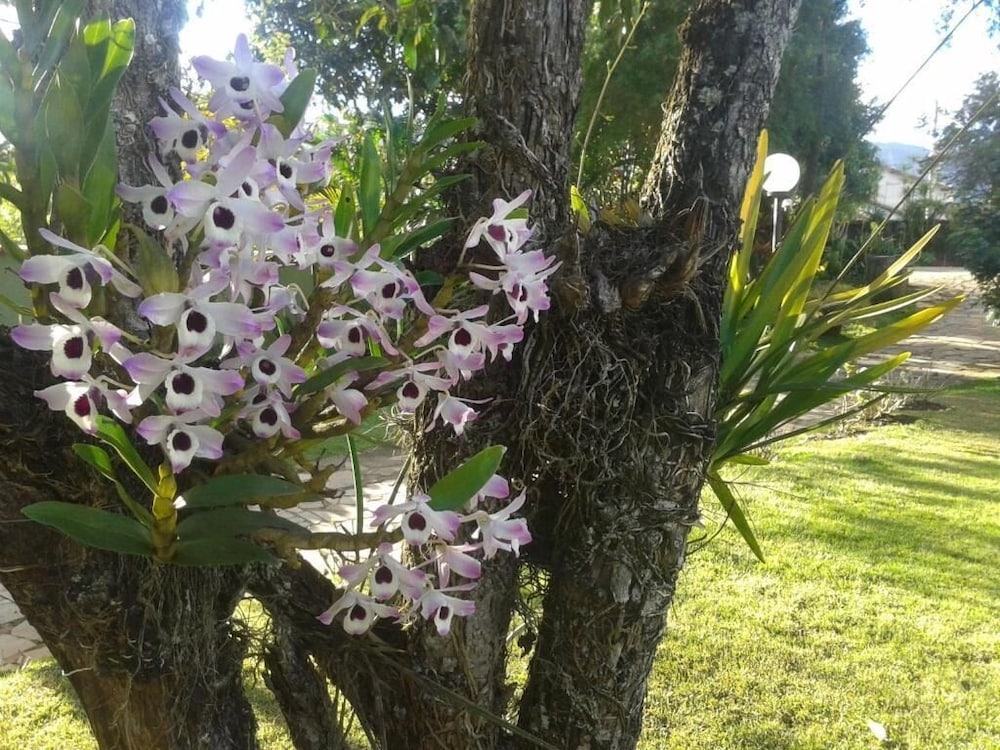 숙박 시설 구내