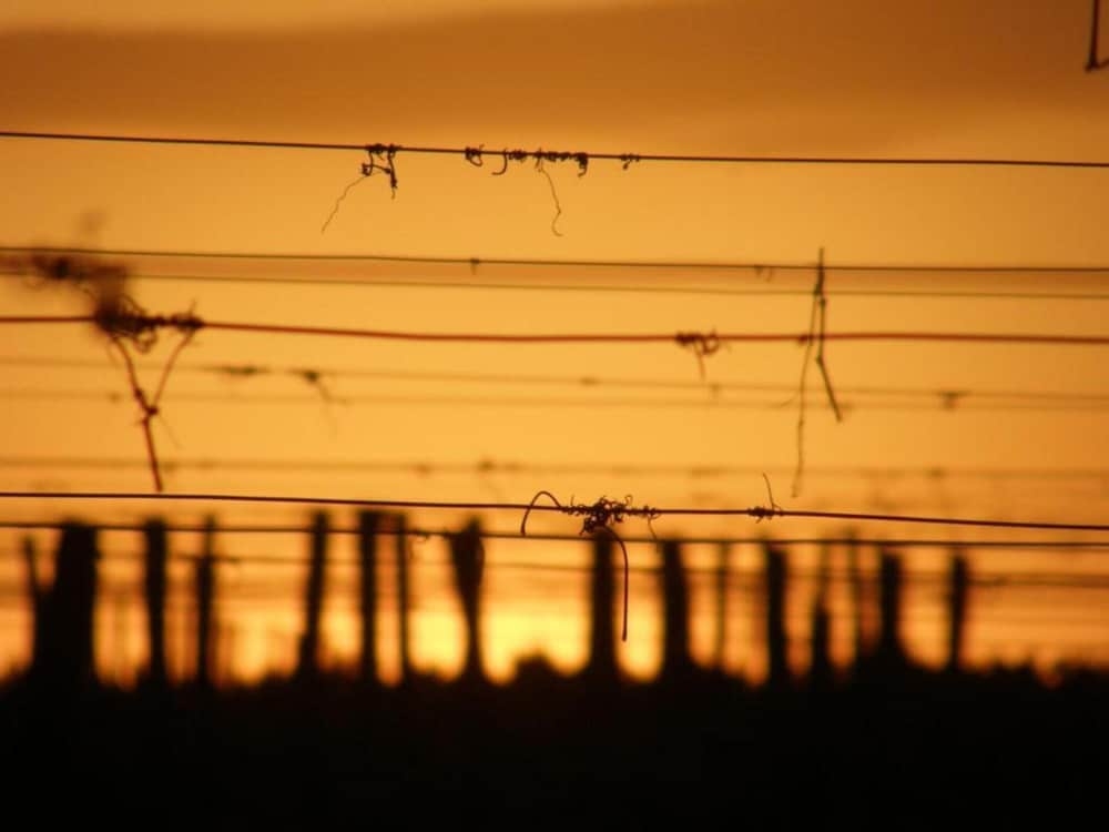 숙박 시설의 전망