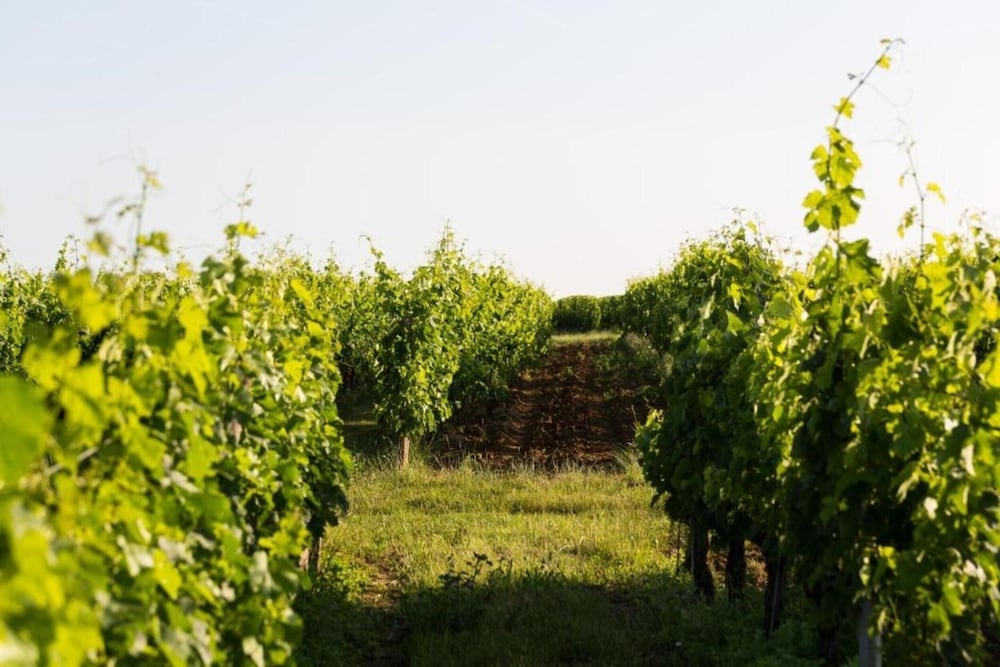 숙박 시설의 전망