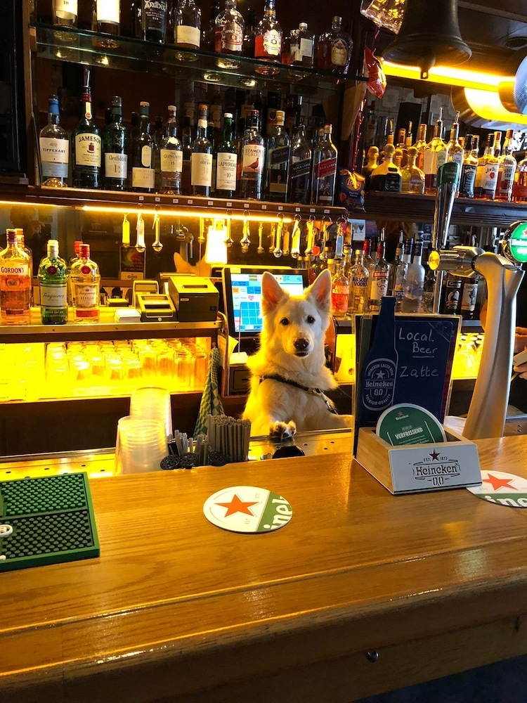 반려동물 동반 가능