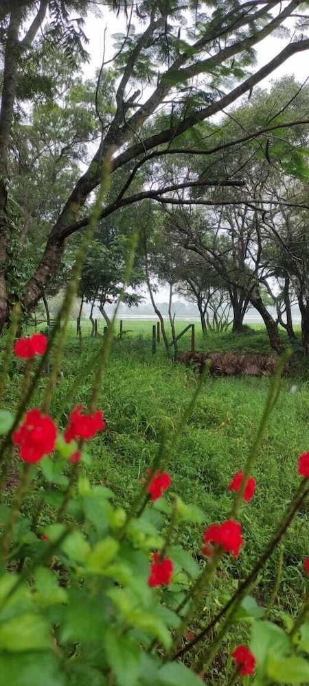 숙박 시설 정면