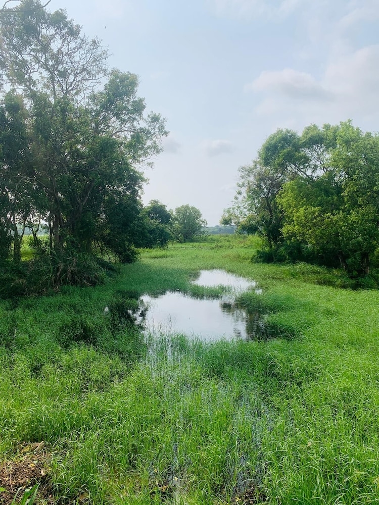 외부 세부 사진