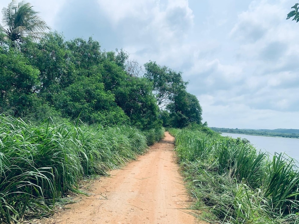 외부 세부 사진