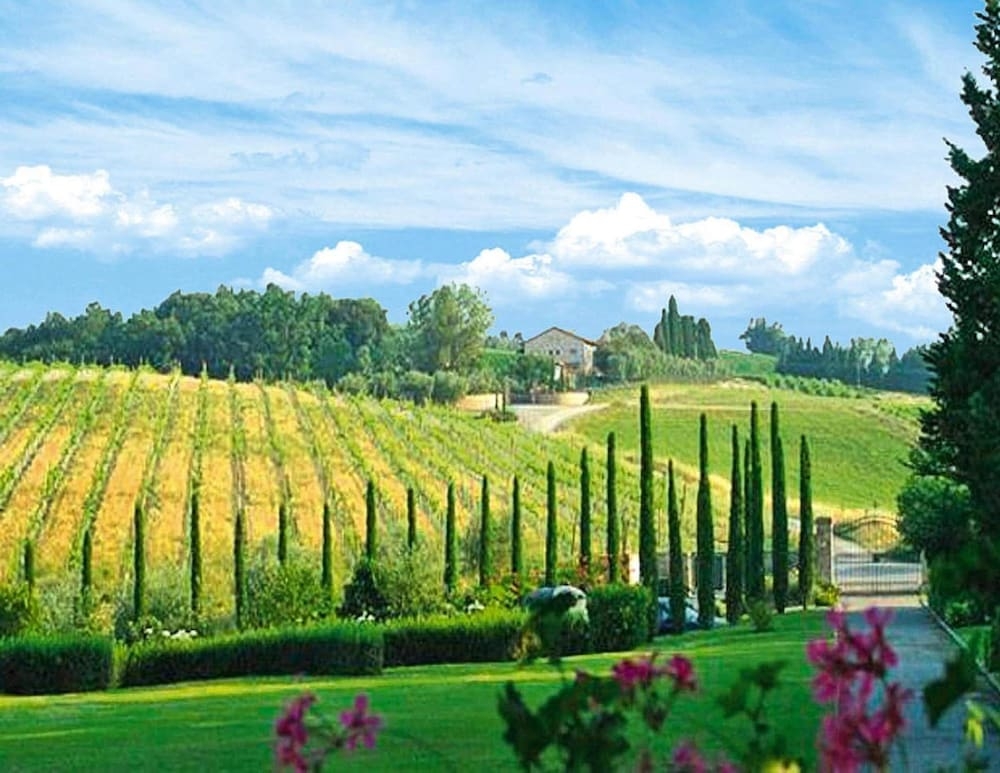 숙박 시설의 전망