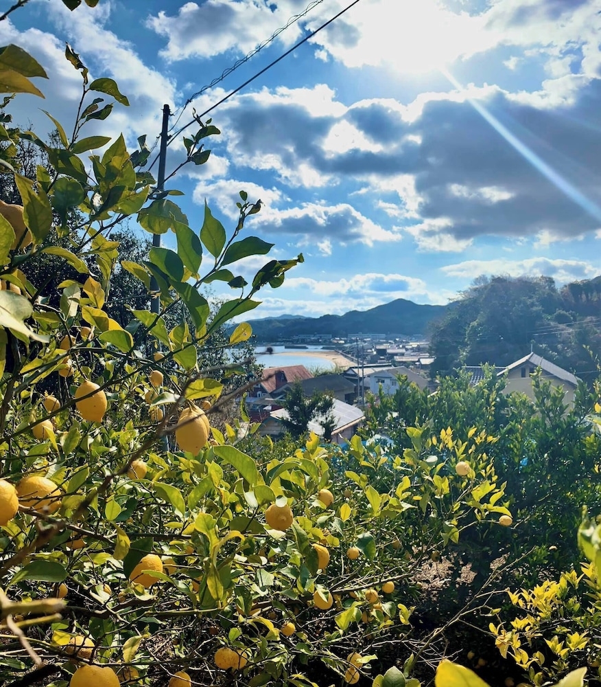 숙박 시설에서 보는 주변 전망