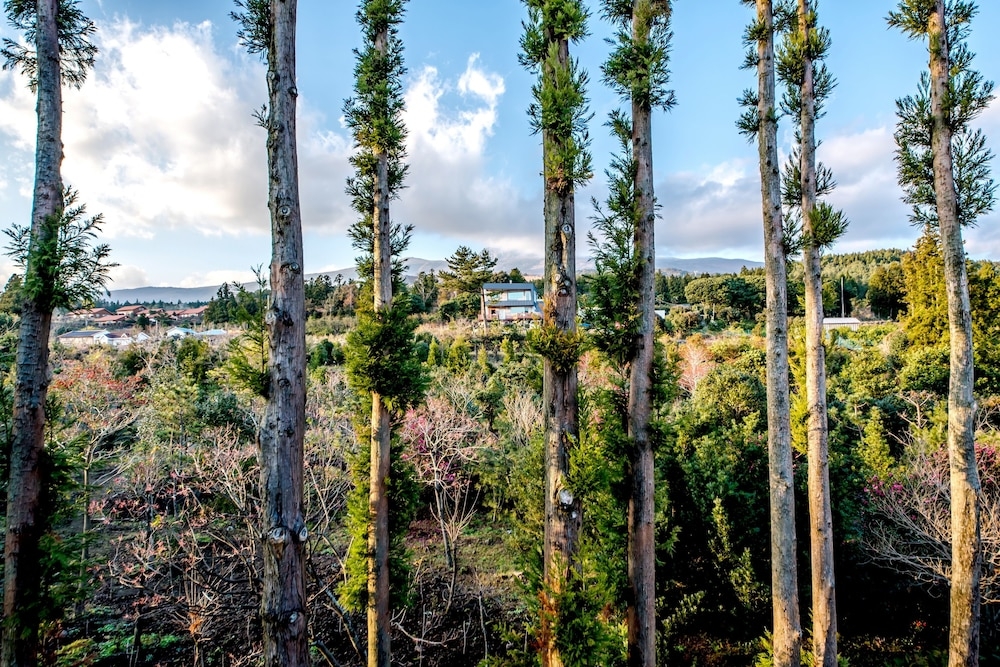 객실에서 보이는 전망