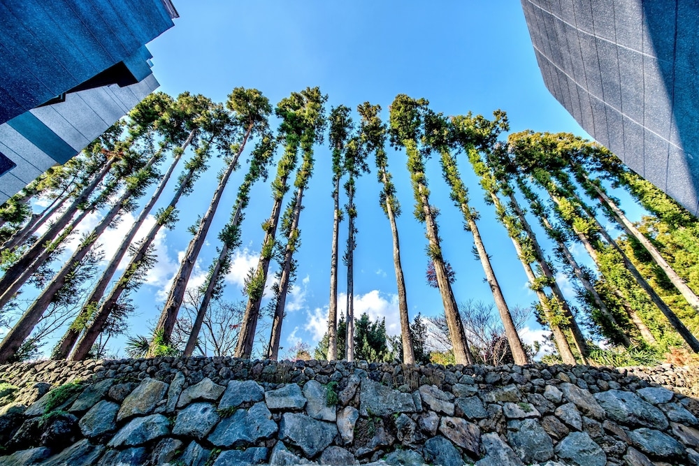 외부 세부 사진