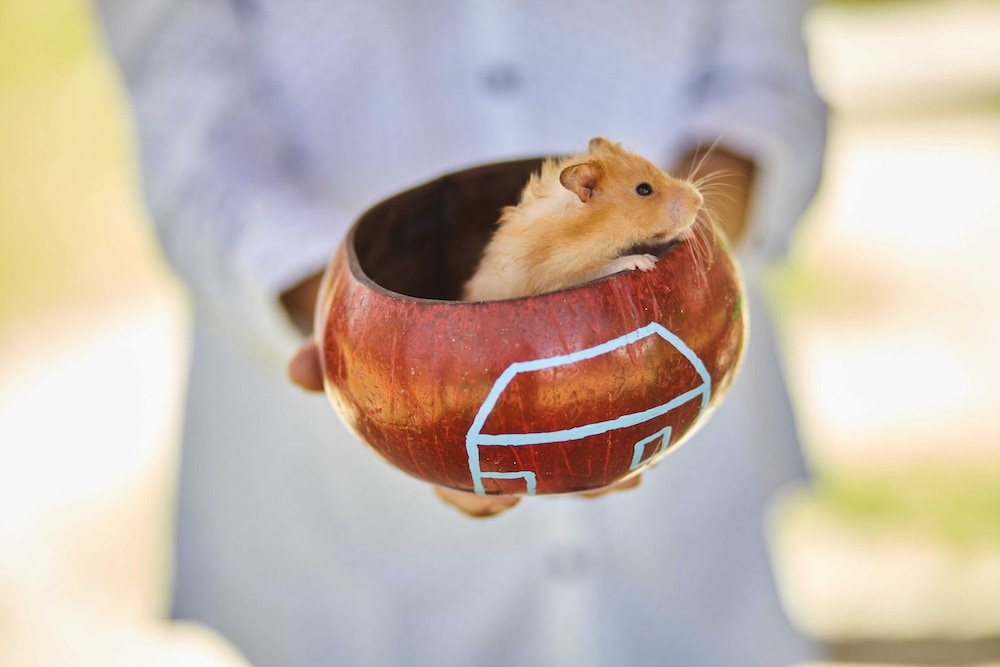 어린이 즐길거리