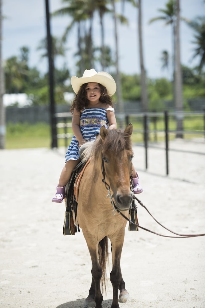 어린이 즐길거리
