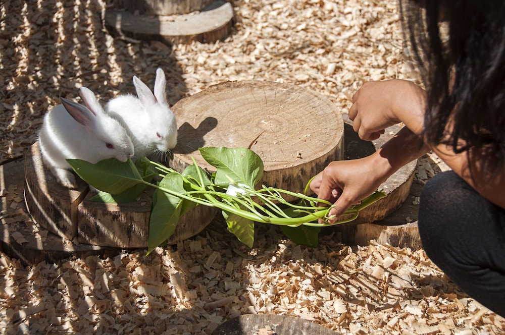 어린이 즐길거리