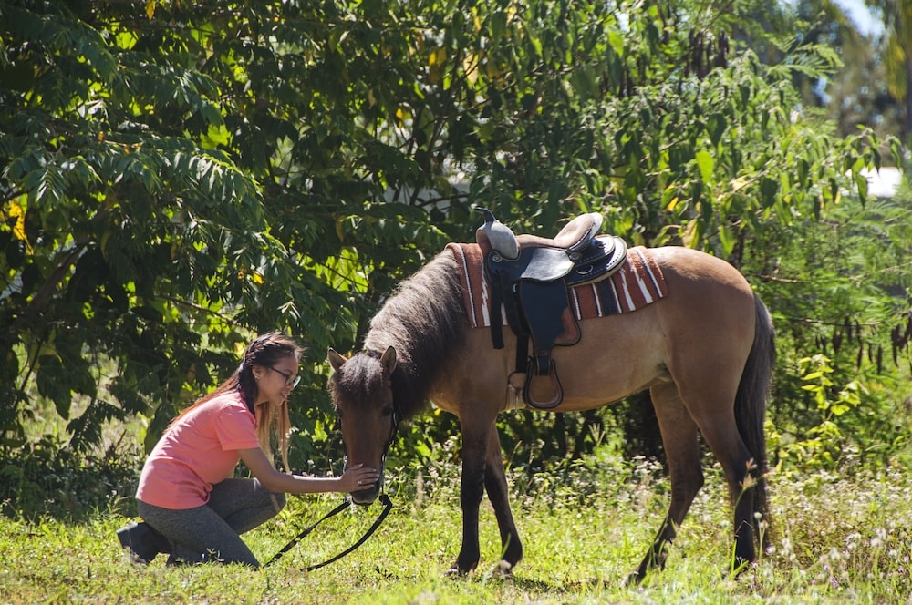 어린이 즐길거리