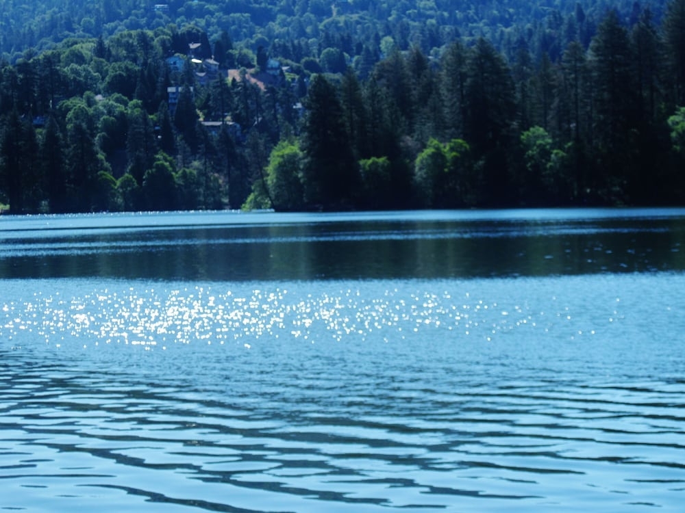 숙박 시설의 전망