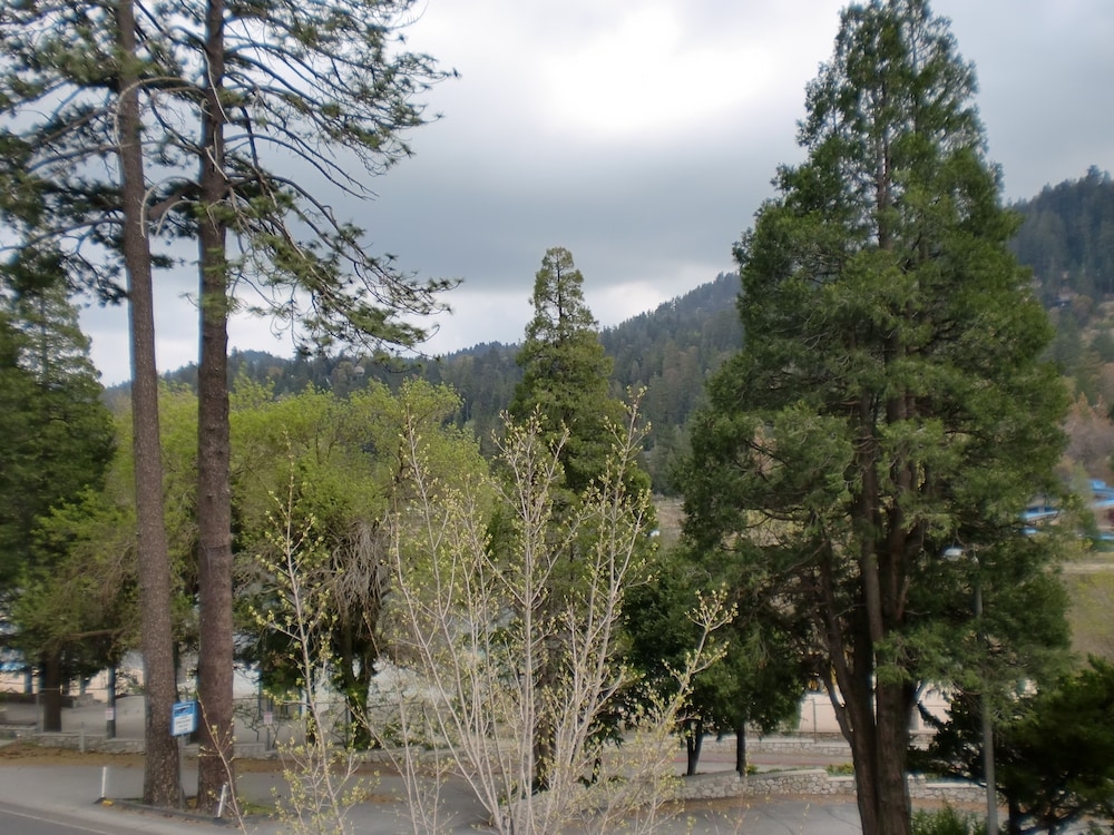 객실에서 보이는 전망