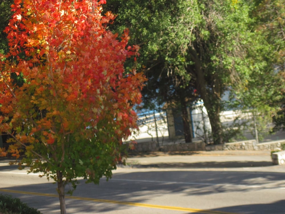 숙박 시설의 전망