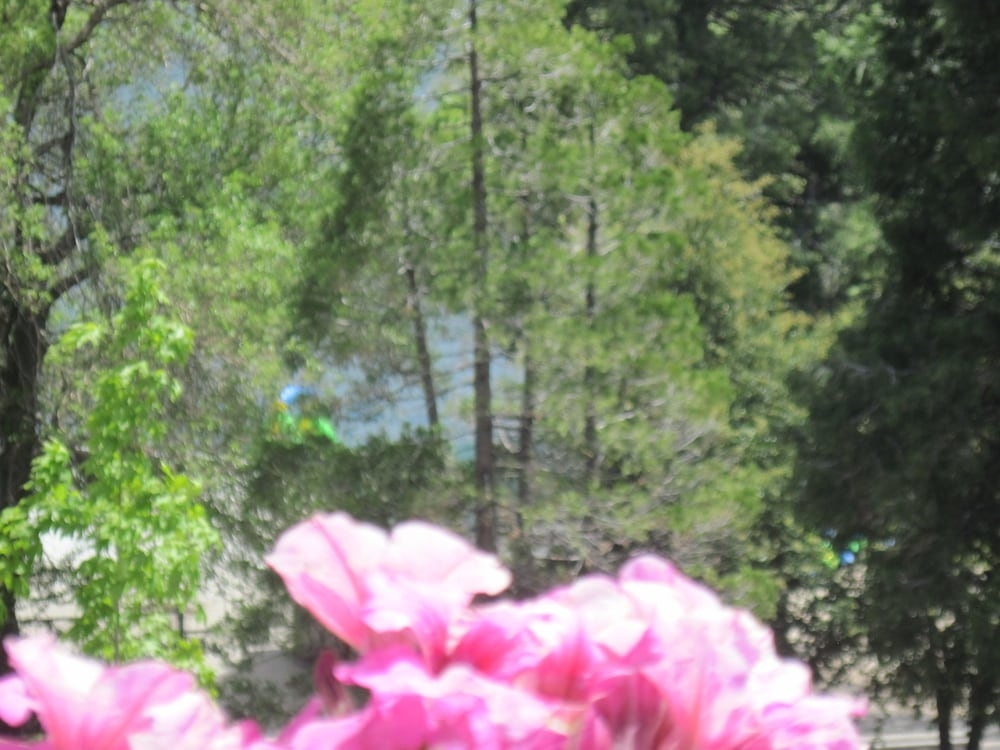 숙박 시설의 전망