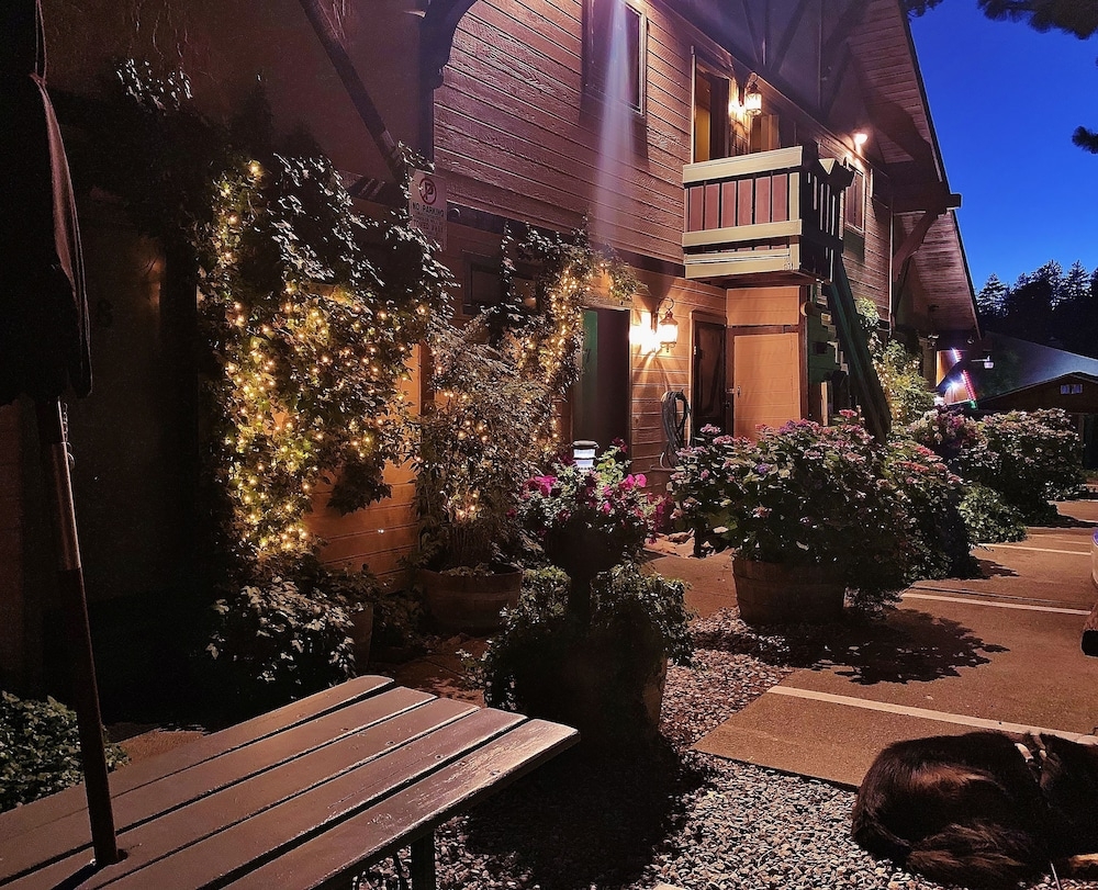 외부 세부 사진