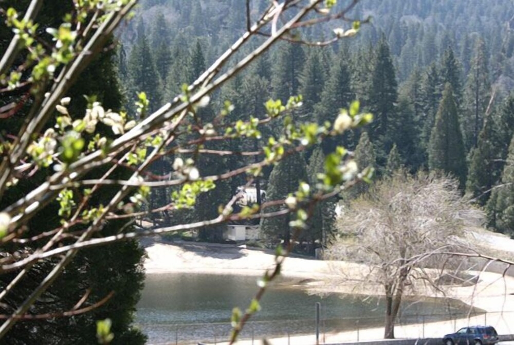 객실에서 보이는 전망