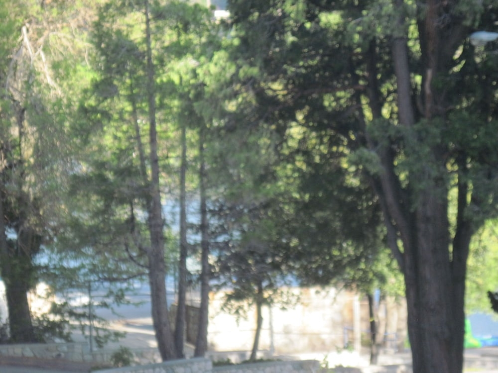 숙박 시설의 전망