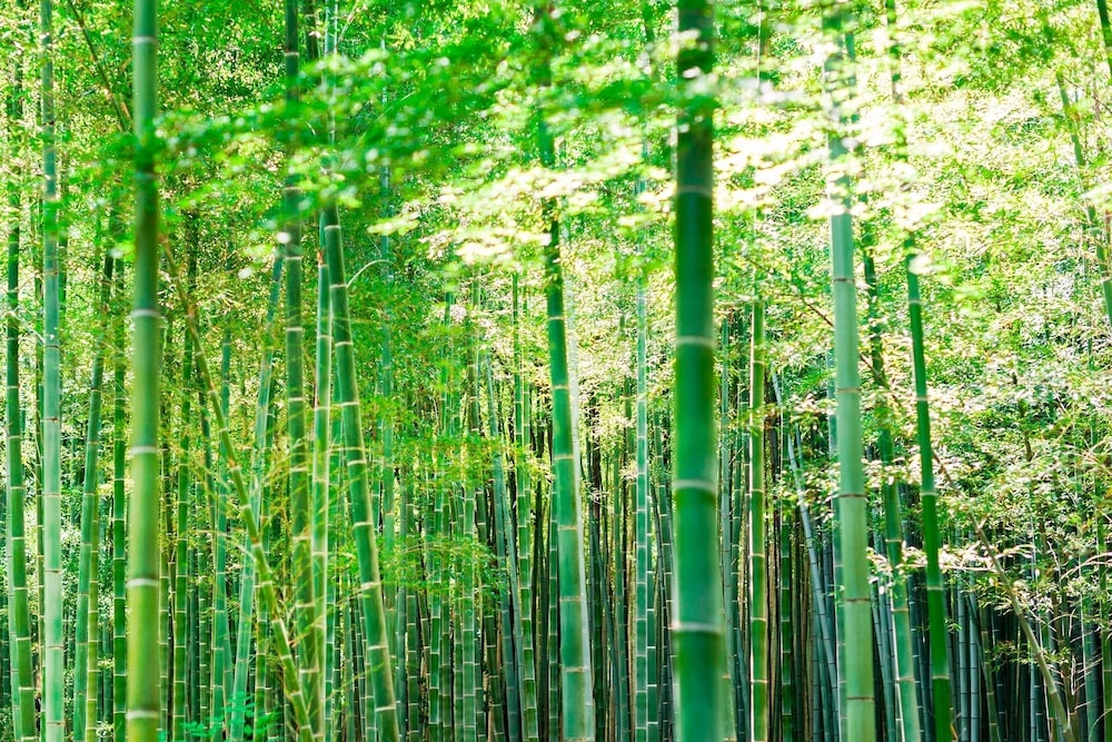 숙박 시설 구내