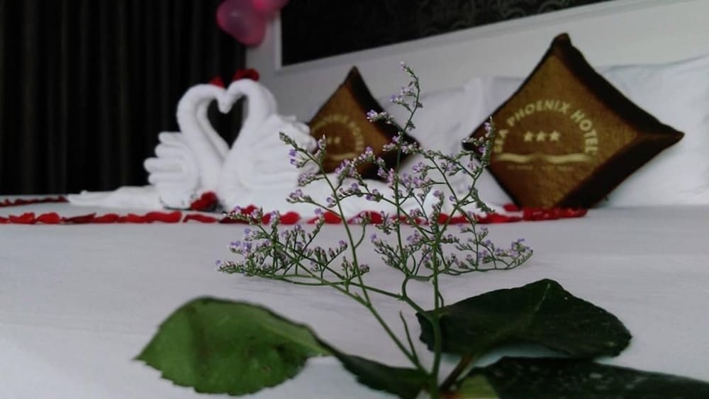 숙박 시설 내 편의 시설/서비스