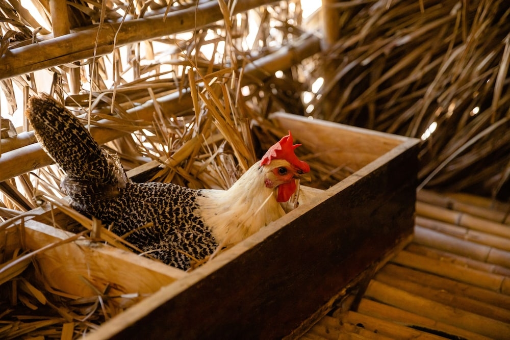 어린이 즐길거리