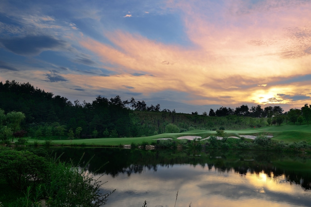 외부 세부 사진
