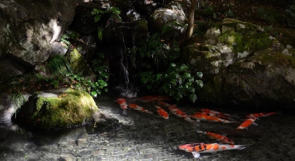 숙박 시설 구내