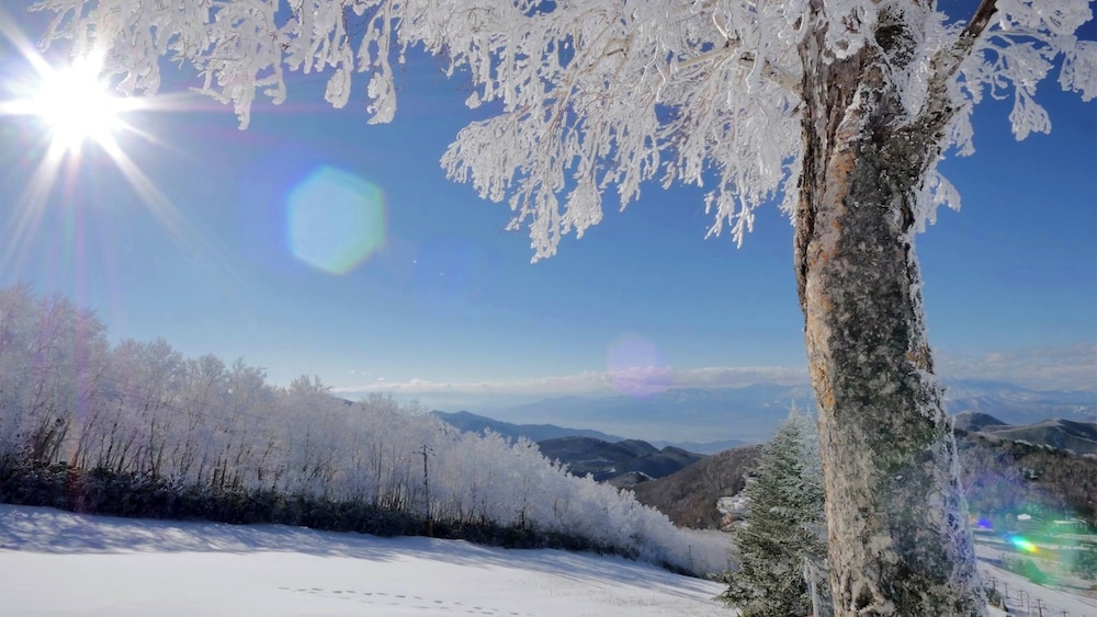 스키 및 겨울 스포츠
