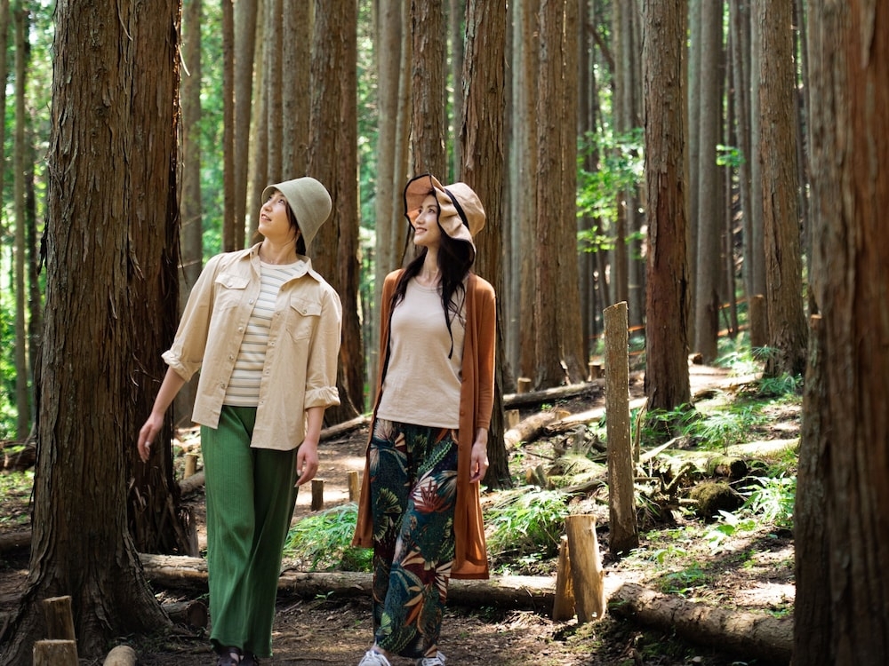 숙박 시설 내 편의 시설/서비스