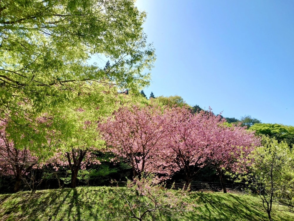 숙박 시설 내 편의 시설/서비스