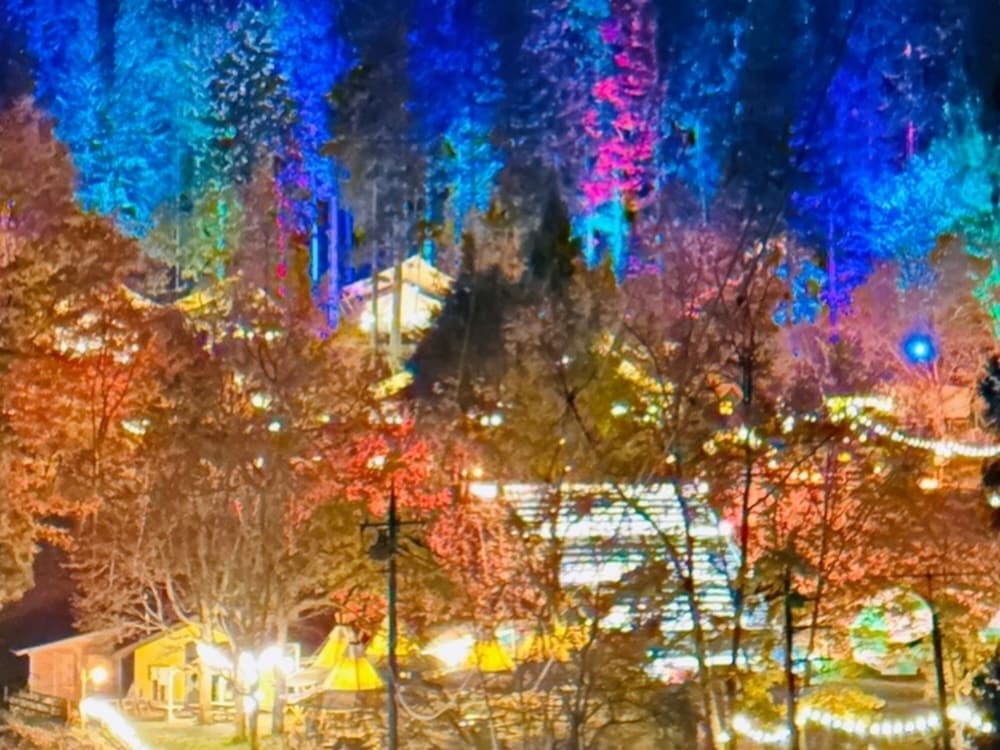 숙박 시설 내 편의 시설/서비스