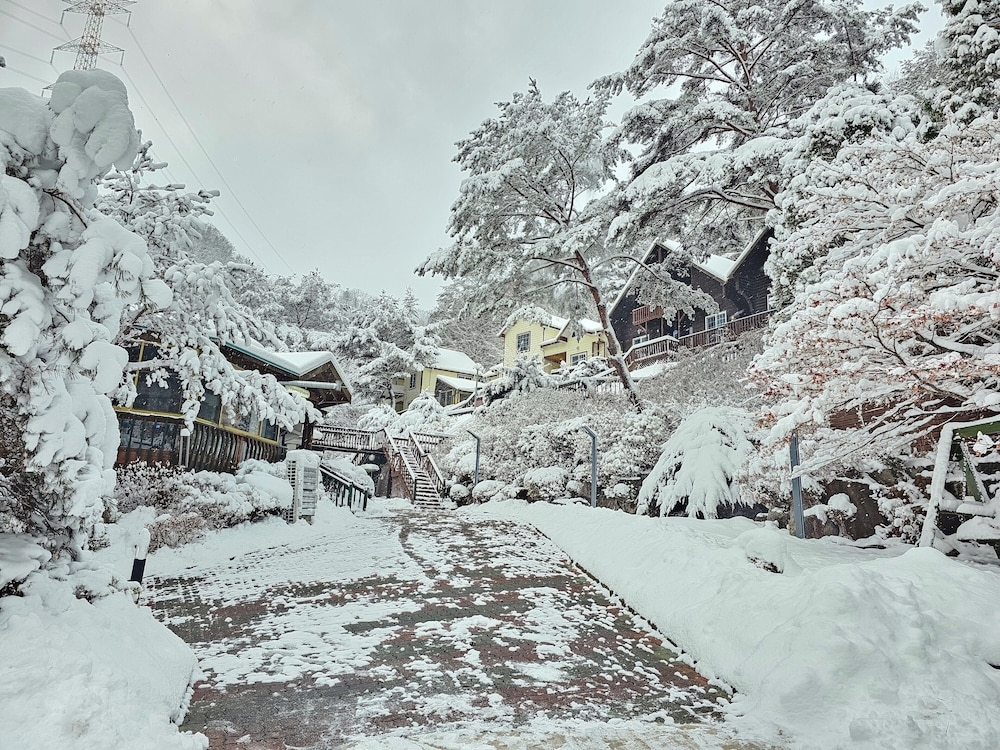 숙박 시설에서 보는 주변 전망