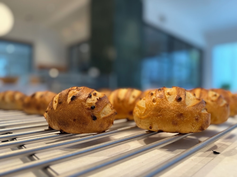 숙박 시설 내 편의 시설/서비스