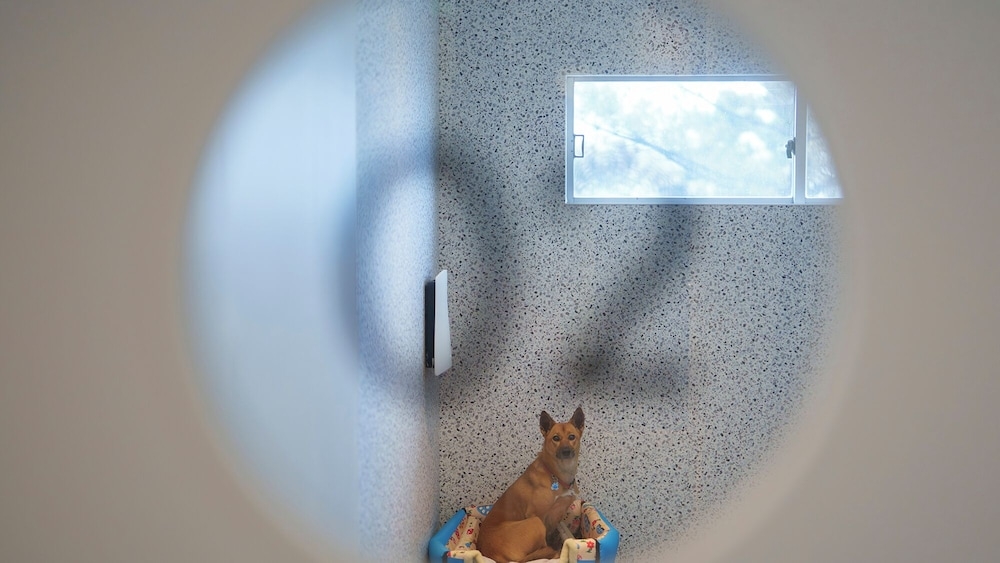 숙박 시설 내 편의 시설/서비스