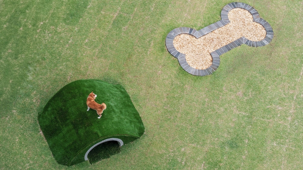 숙박 시설 내 편의 시설/서비스