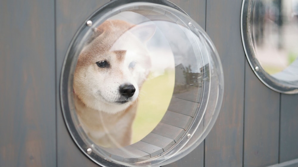 숙박 시설 내 편의 시설/서비스