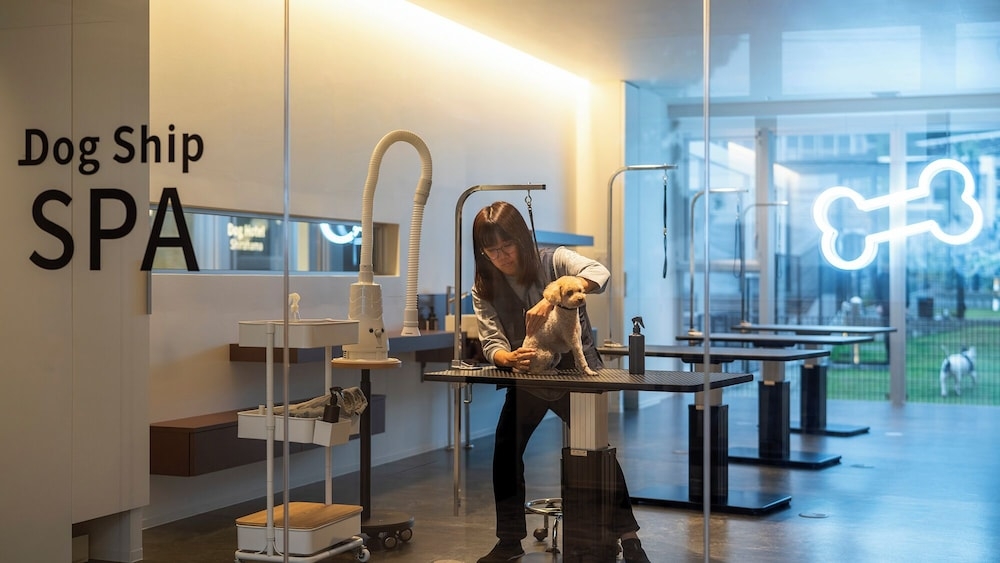 숙박 시설 내 편의 시설/서비스