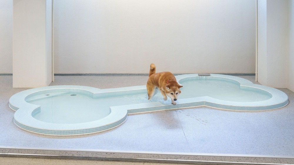 숙박 시설 내 편의 시설/서비스