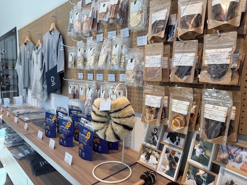 반려동물 동반 편의 시설