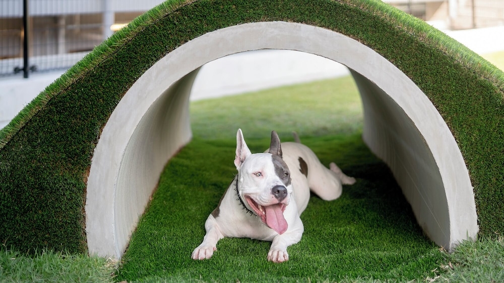 숙박 시설 내 편의 시설/서비스