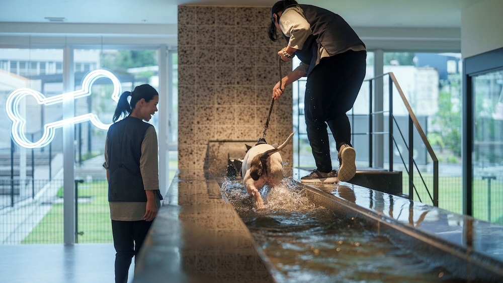 숙박 시설 내 편의 시설/서비스